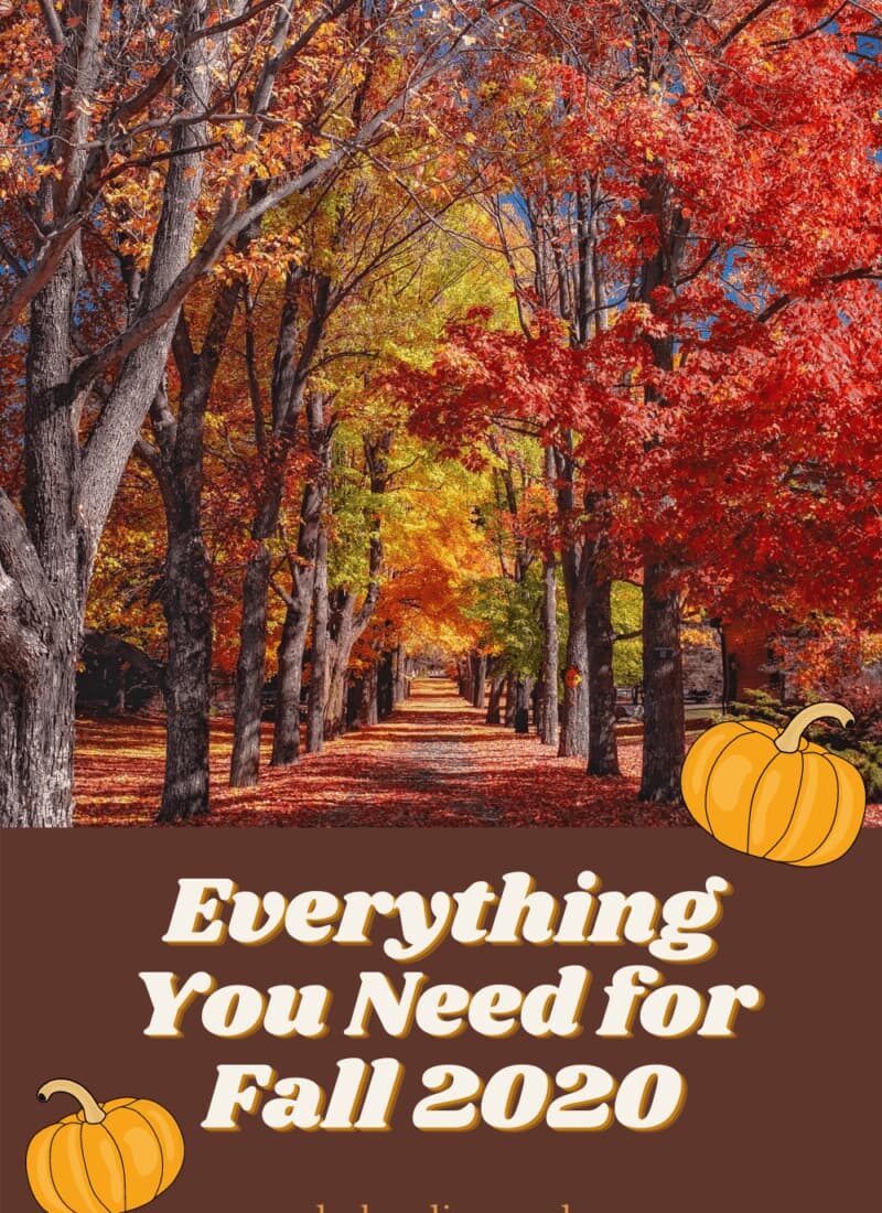 Everything You Need–Fall Essentials 2020